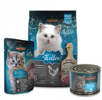 Cat Box LEONARDO® Kitten