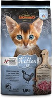 Getreidefrei: Kitten Geflügel